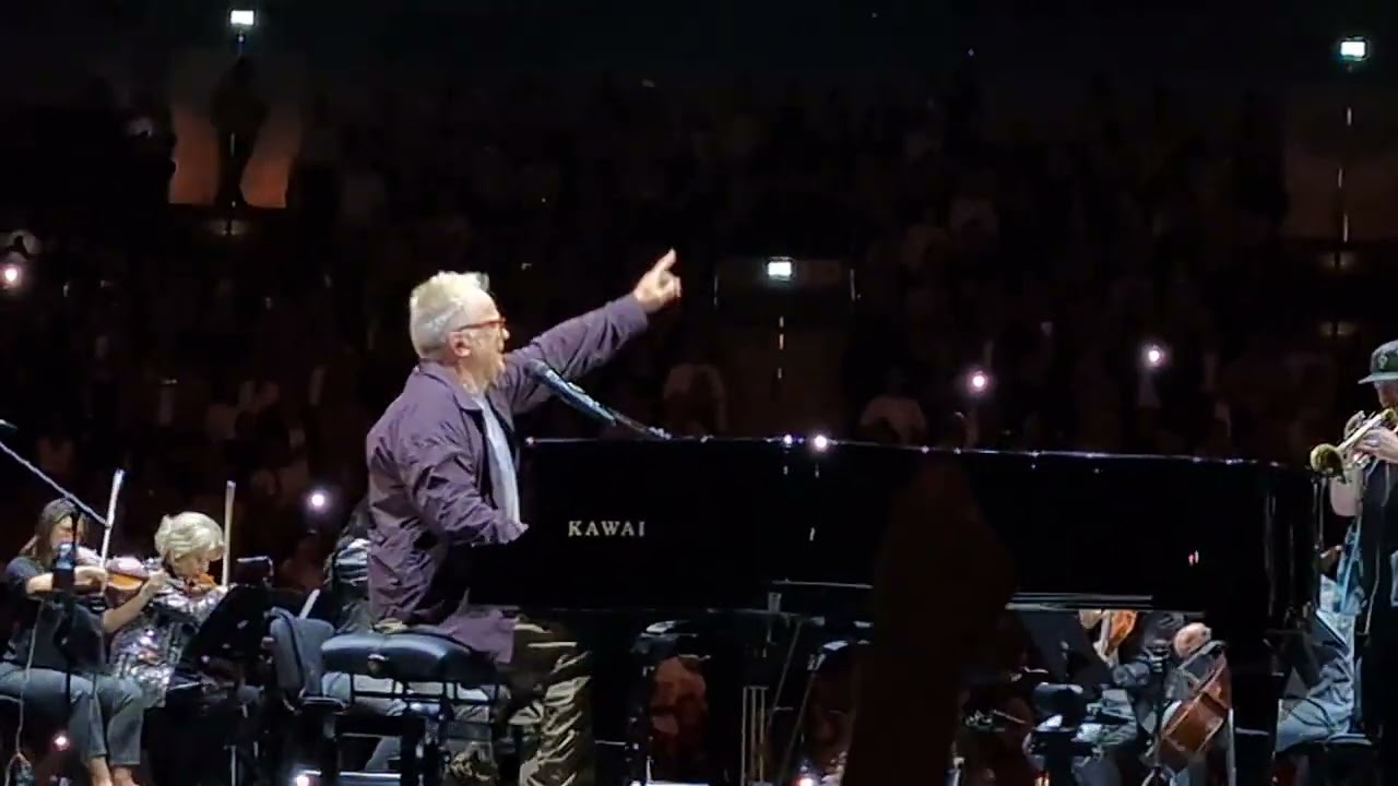 Herbert Grönemeyer - mittendrin